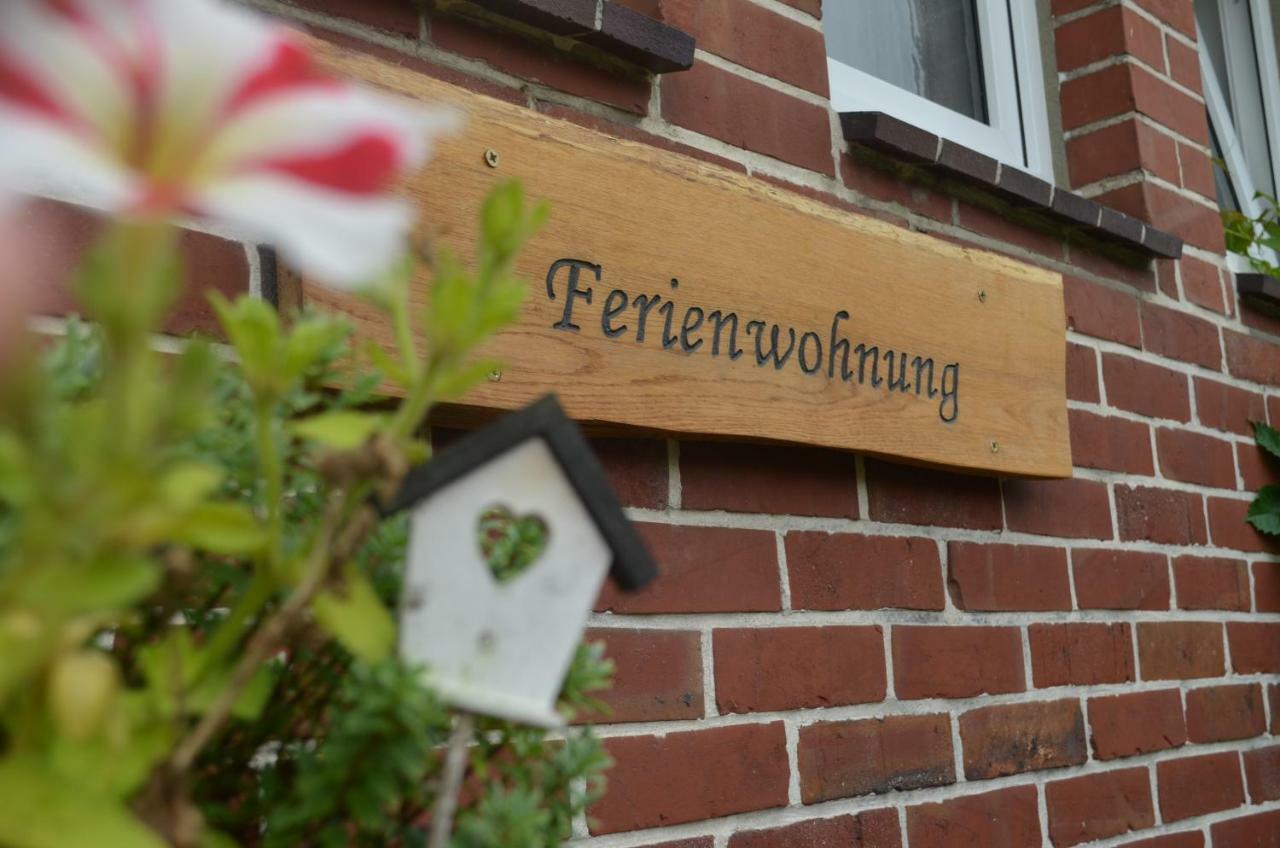 Fewo Deichblick Wischhafen Exterior foto